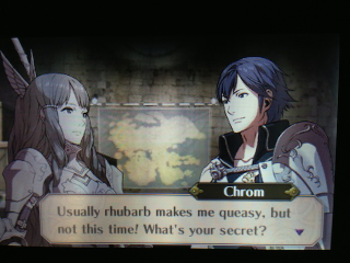 Illustration for article titled This Is What Romance Looks Like In Fire Emblem: Awakening